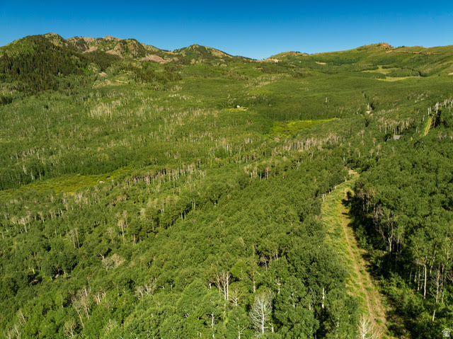 5146 North Pne Cyn Road, Unit 4A1 Park City, UT 84060 - Photo 12 of 15