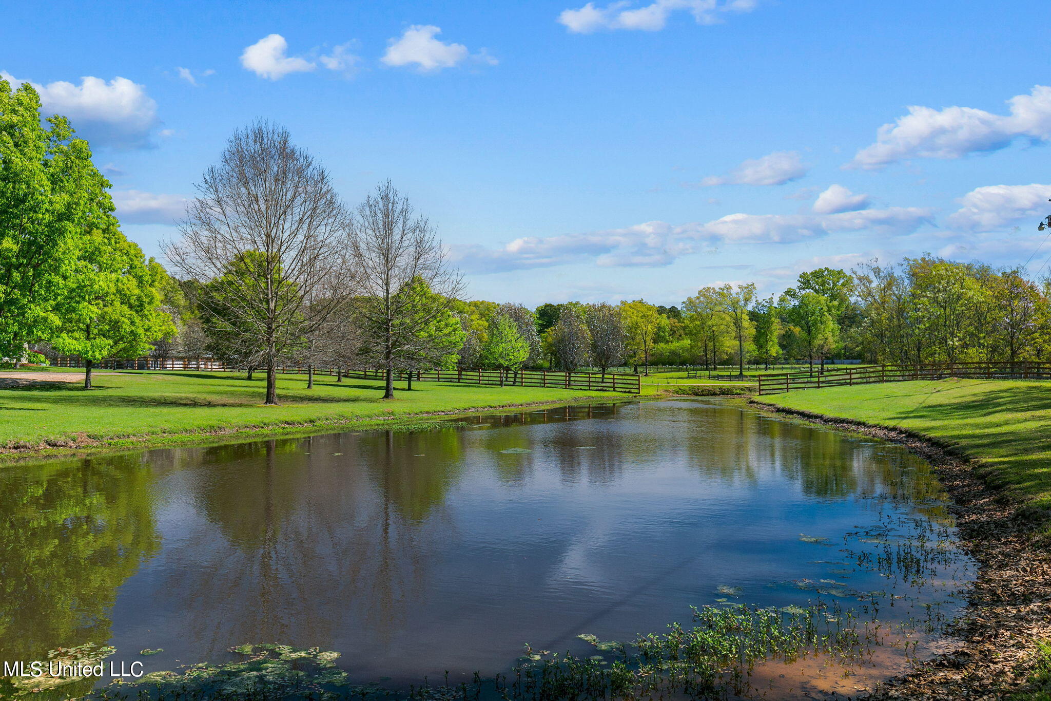 848 Old Agency Road Ridgeland, MS 39157 - Photo 84 of 107 Pond 2