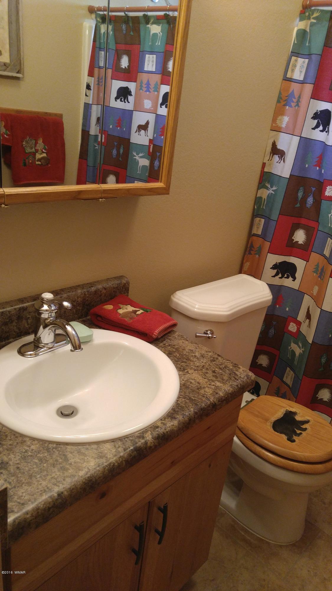6225 Juniper Ridge Road Show Low, AZ 85901 - Photo 34 of 51 Gallery Image 34