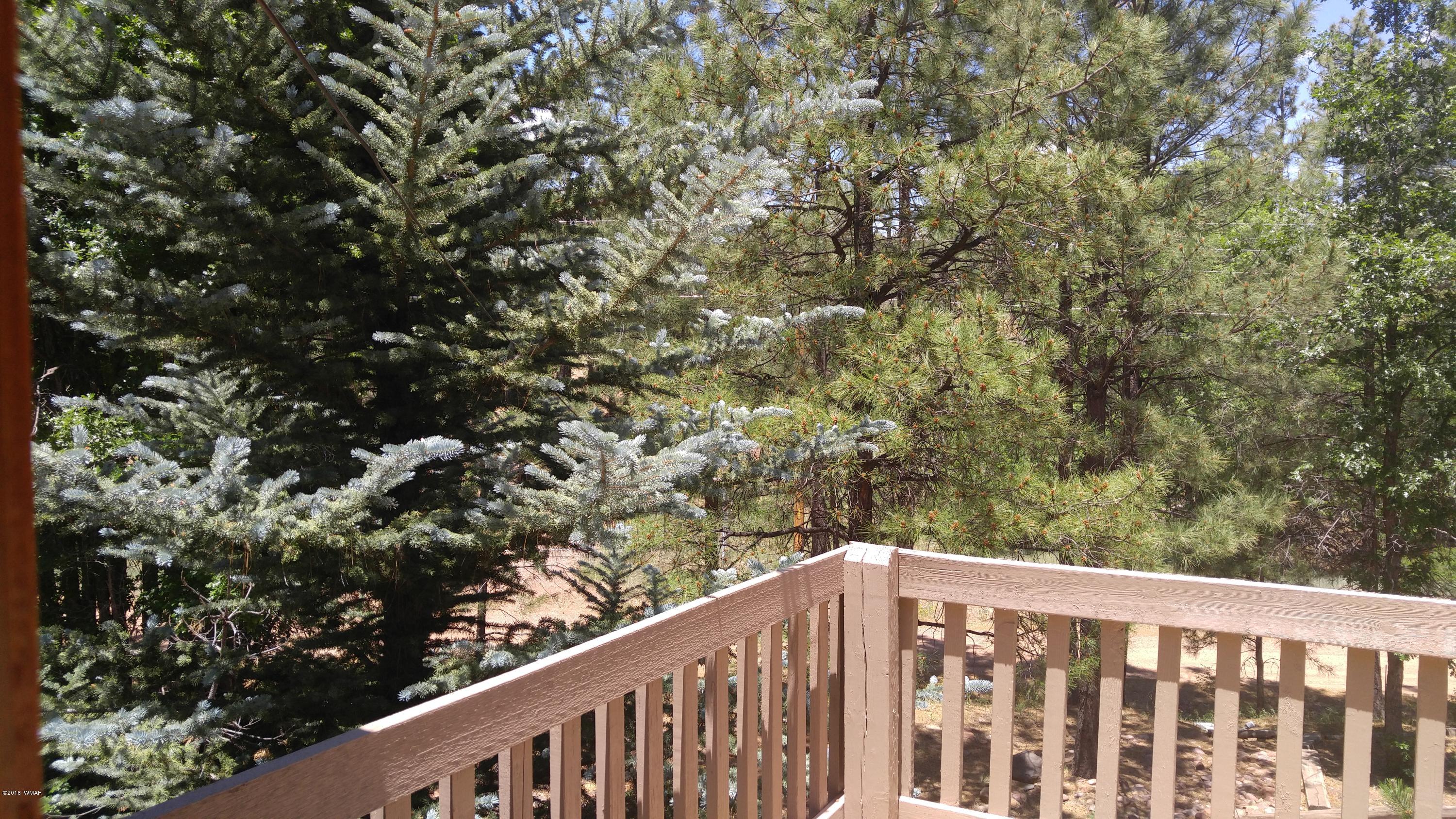 6225 Juniper Ridge Road Show Low, AZ 85901 - Photo 6 of 51 Gallery Image 6