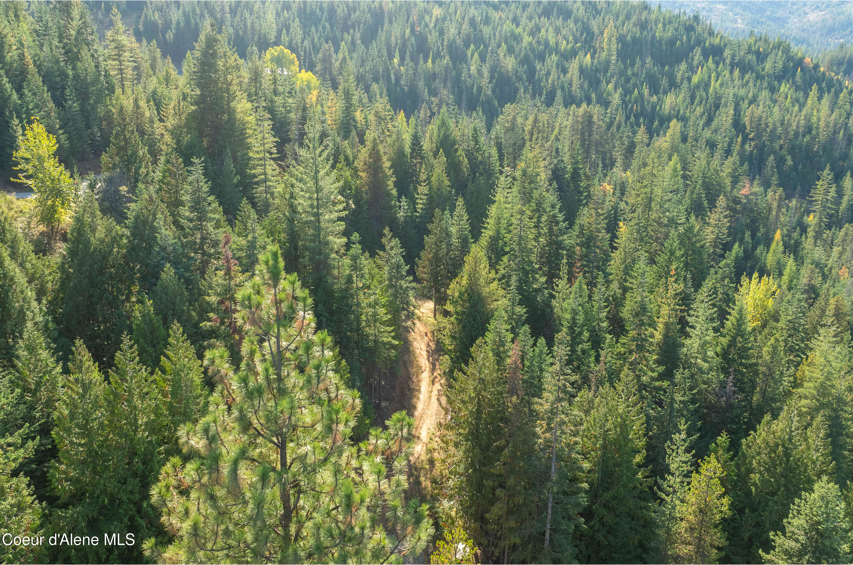 625 East Fork French Gulch Road Pinehurst, ID 83850 - Photo 27 of 29 Property View
