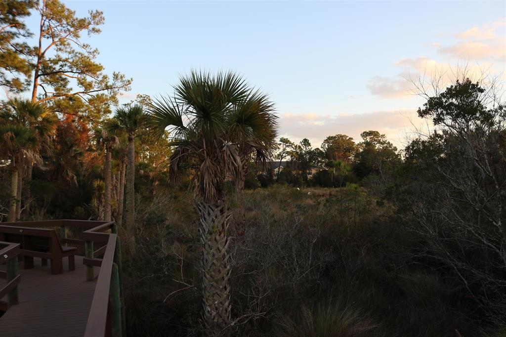 2431 Vista Cove Road St. Augustine, FL 32084 - Photo 28 of 33 a view of outdoor space and yard