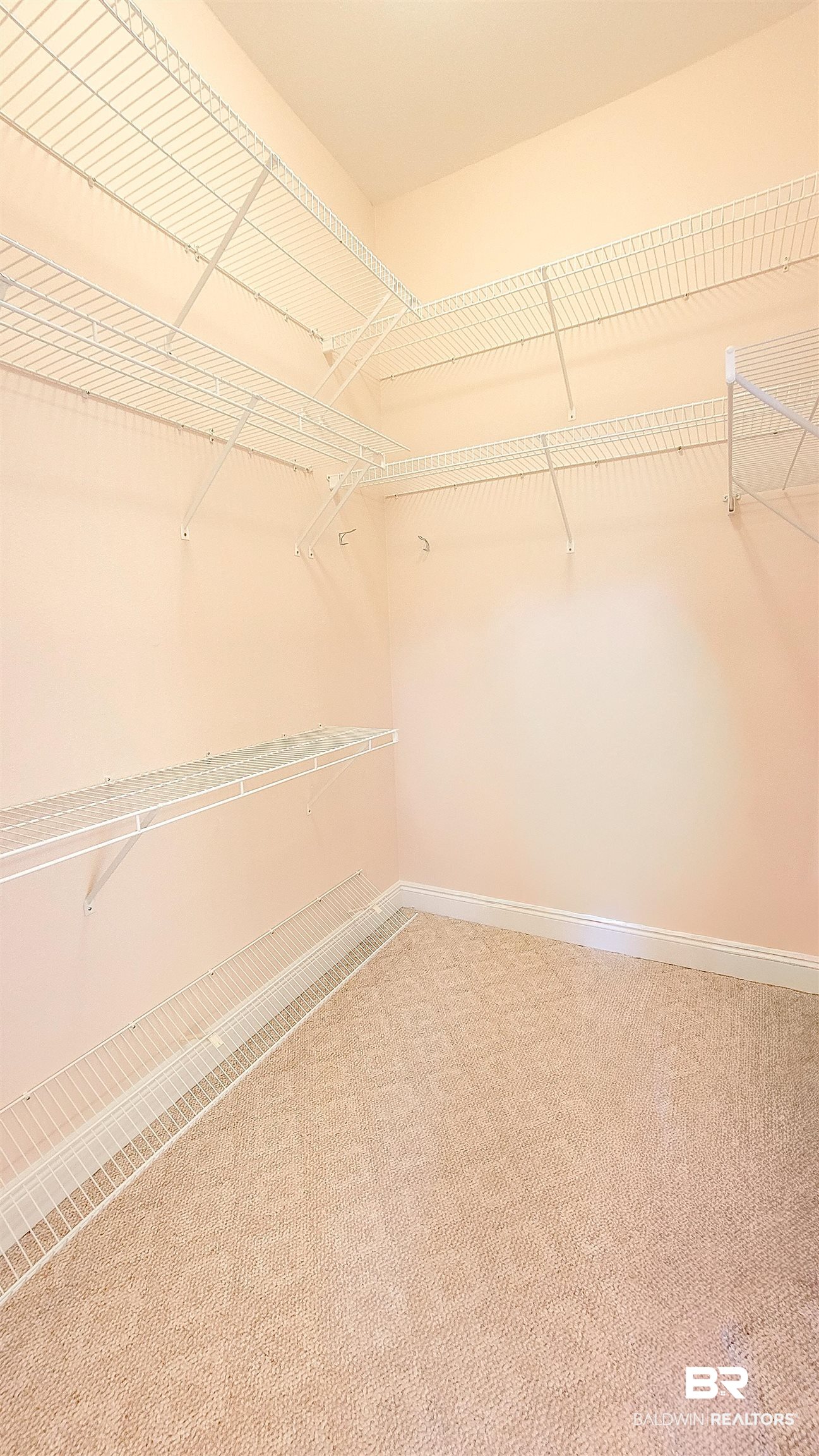 214 Hemingway Loop Foley, AL 36535 - Photo 31 of 67 Spacious closet featuring carpet floors