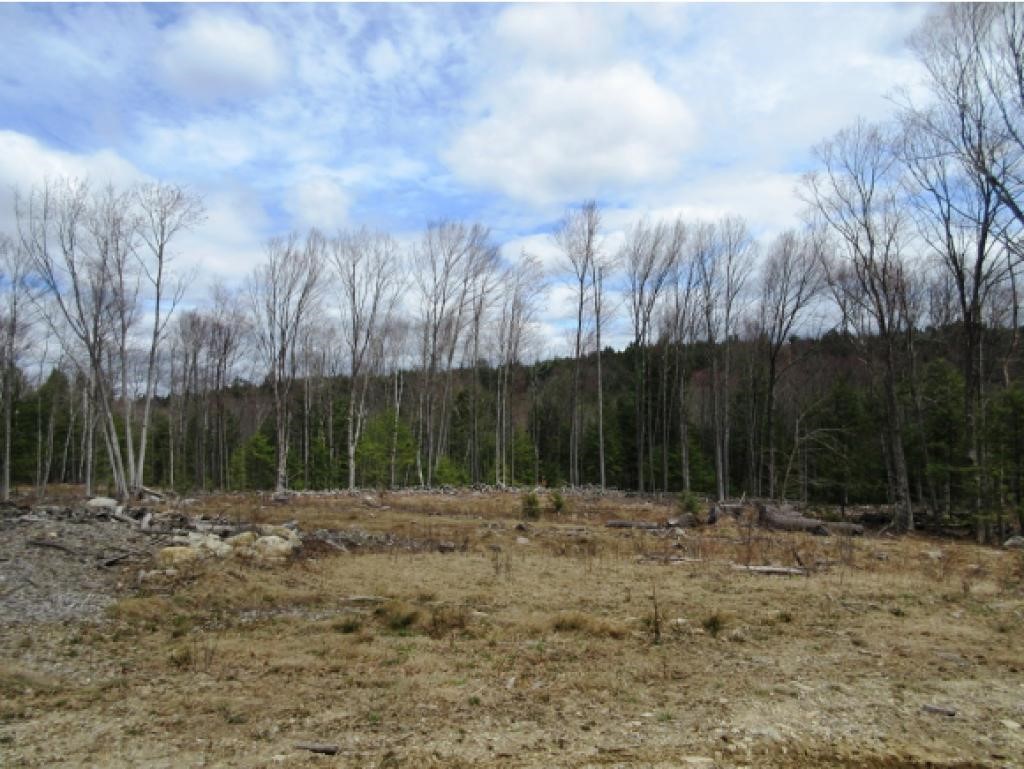 Lot 2 Eaton Grange Road Warner, NH 03278 - Photo 1 of 3 Gallery Image 1
