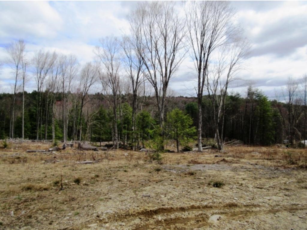Lot 2 Eaton Grange Road Warner, NH 03278 - Photo 2 of 3 Gallery Image 2