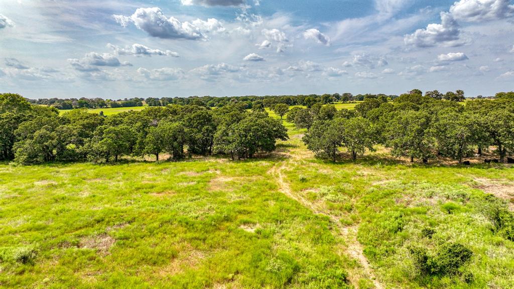 11500 Bowden Road Lipan, TX 76462 - Photo 8 of 32 View of nature featuring a rural view
