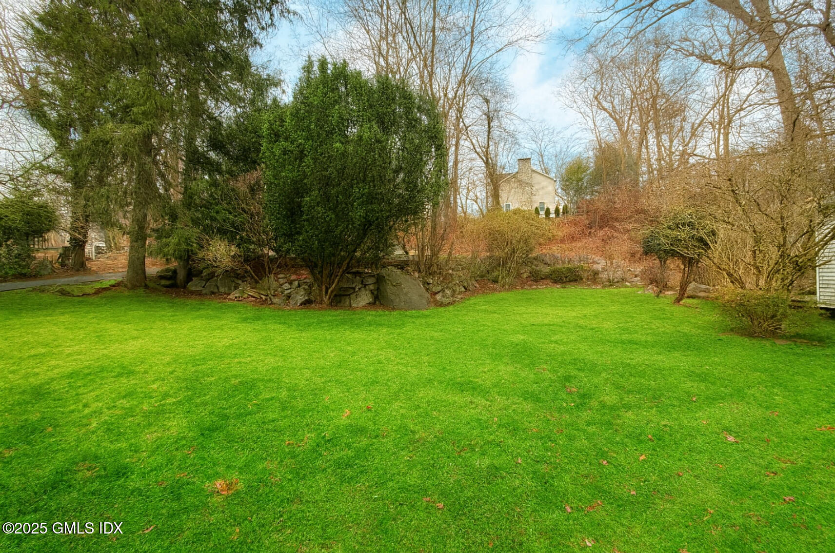 a view of a yard with a tree
