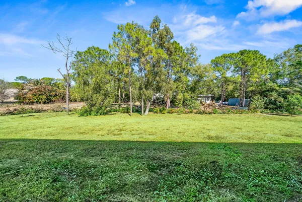 a view of a park with large trees