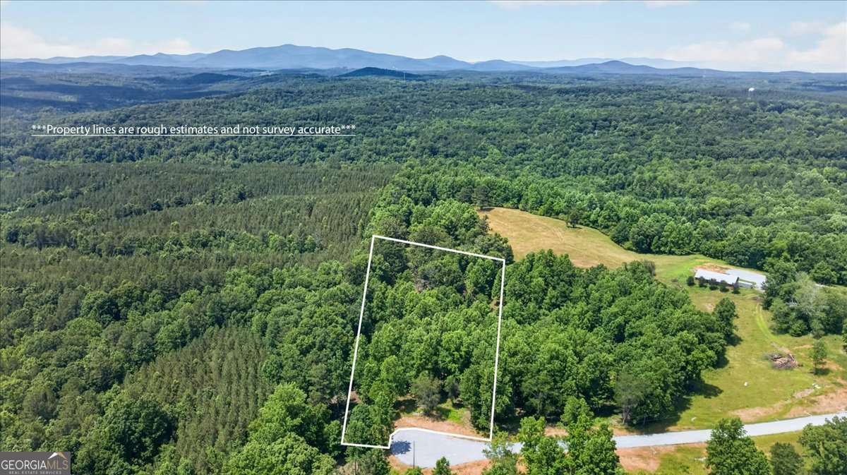 0 Conns Creek Road, Unit 2 Ball Ground, GA 30107 - Photo 24 of 57