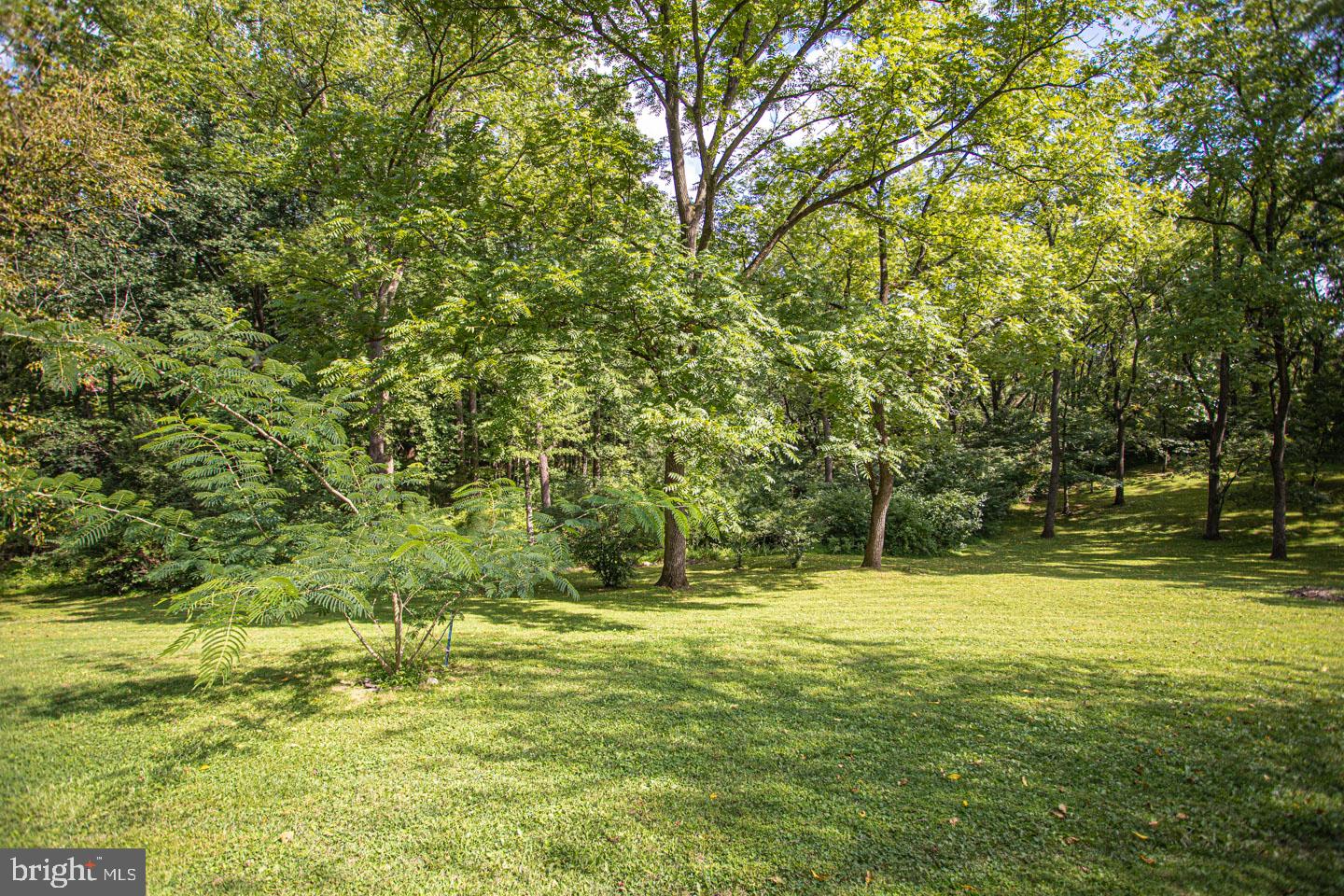 3738 Buckwampum Road Riegelsville, PA 18077 - Photo 38 of 48