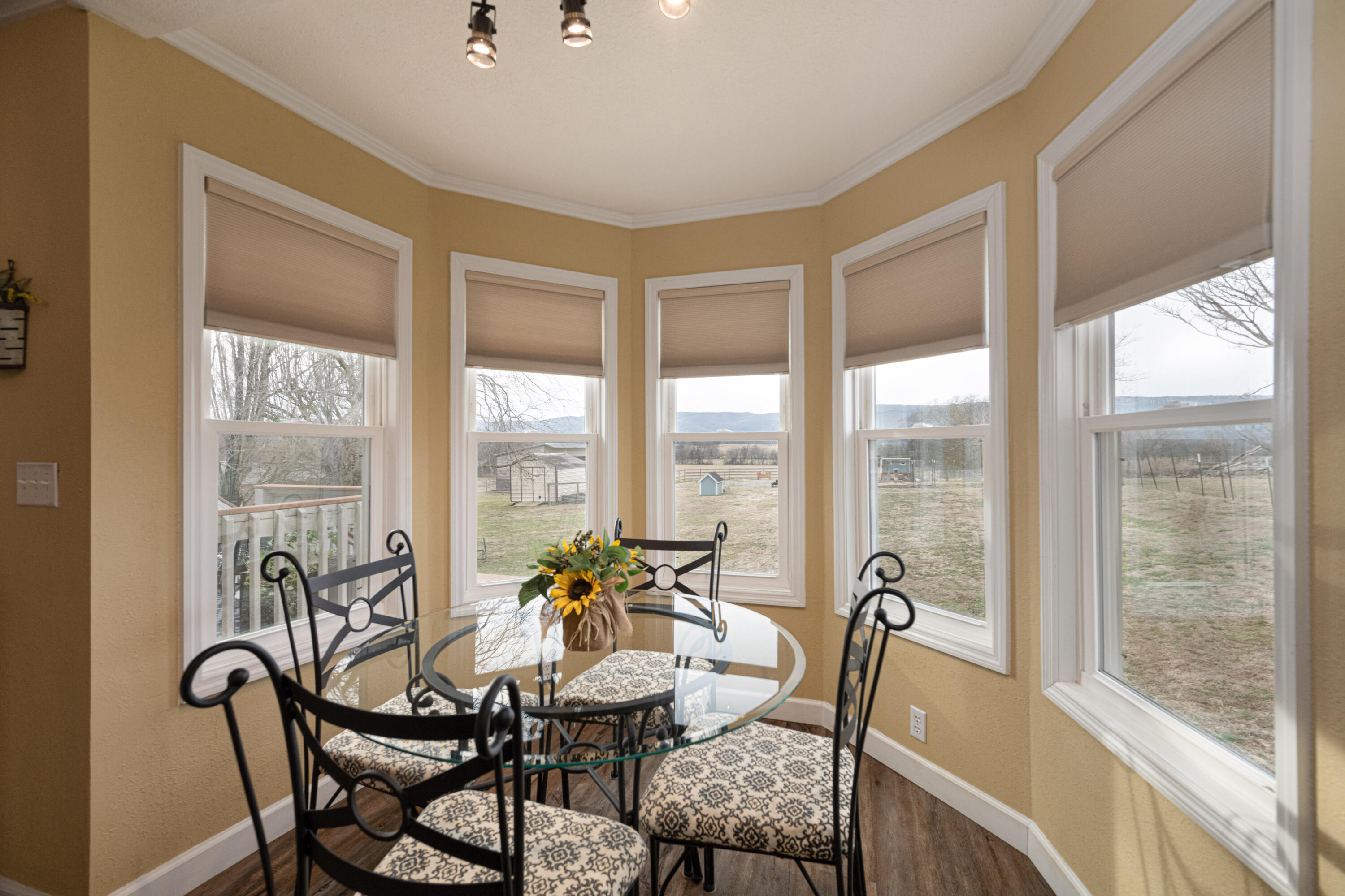 10115 Upper East Valley Road Pikeville, TN 37367 - Photo 28 of 115 _DSC9748-Edit