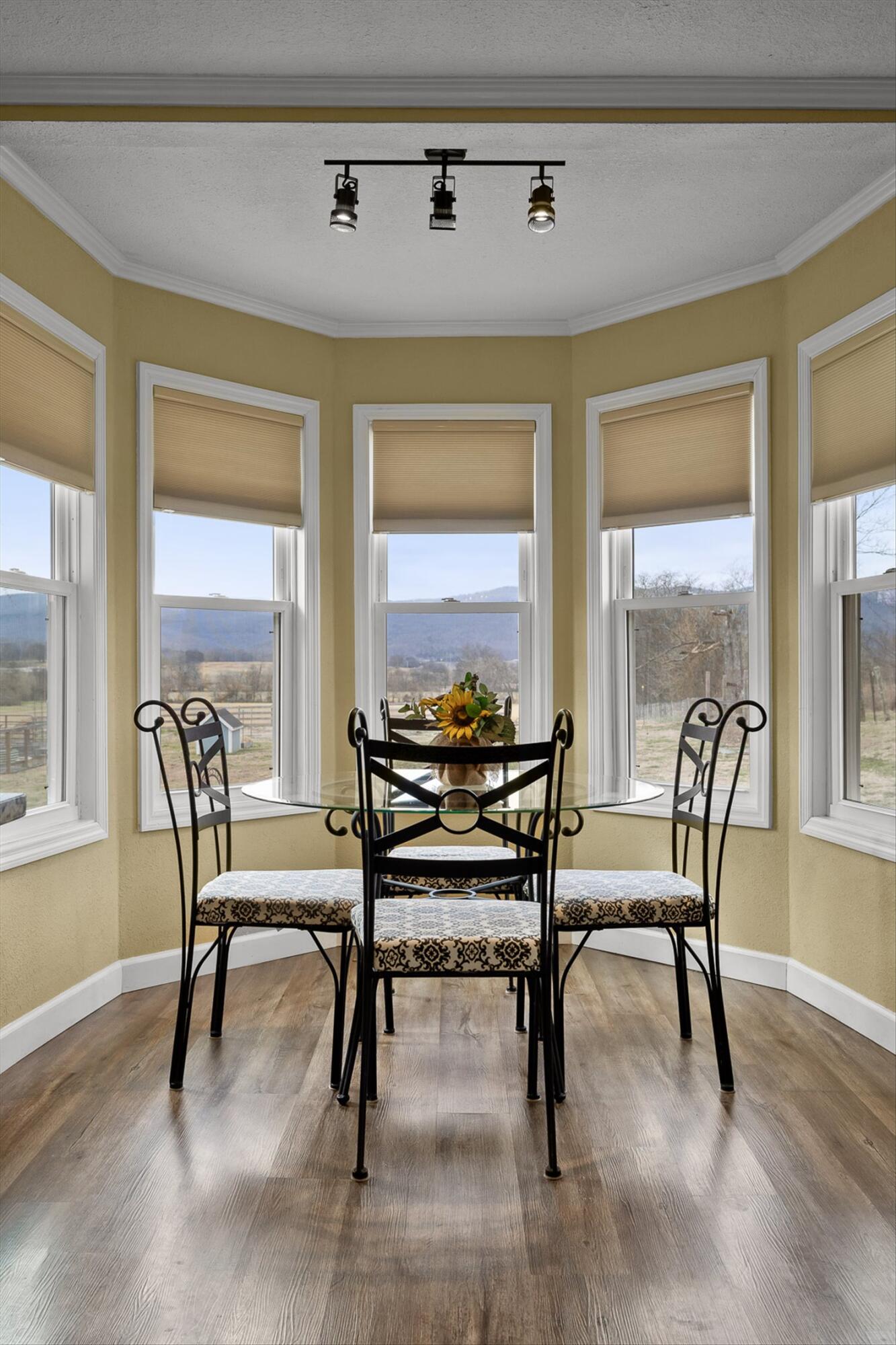 10115 Upper East Valley Road Pikeville, TN 37367 - Photo 86 of 115 36-Upper East Valley-36