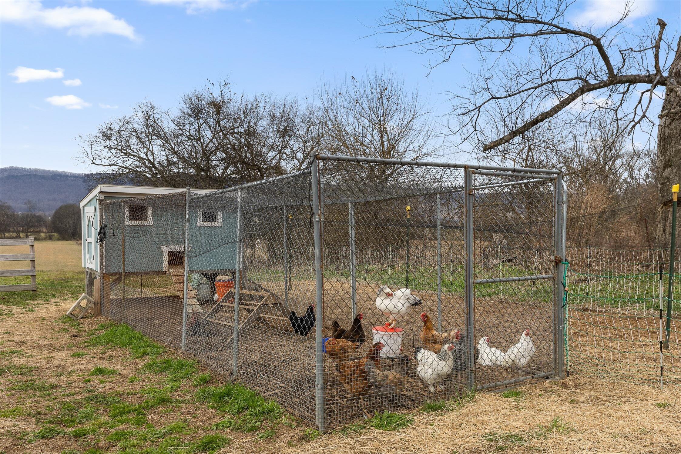 10115 Upper East Valley Road Pikeville, TN 37367 - Photo 96 of 115 57-Upper East Valley-57