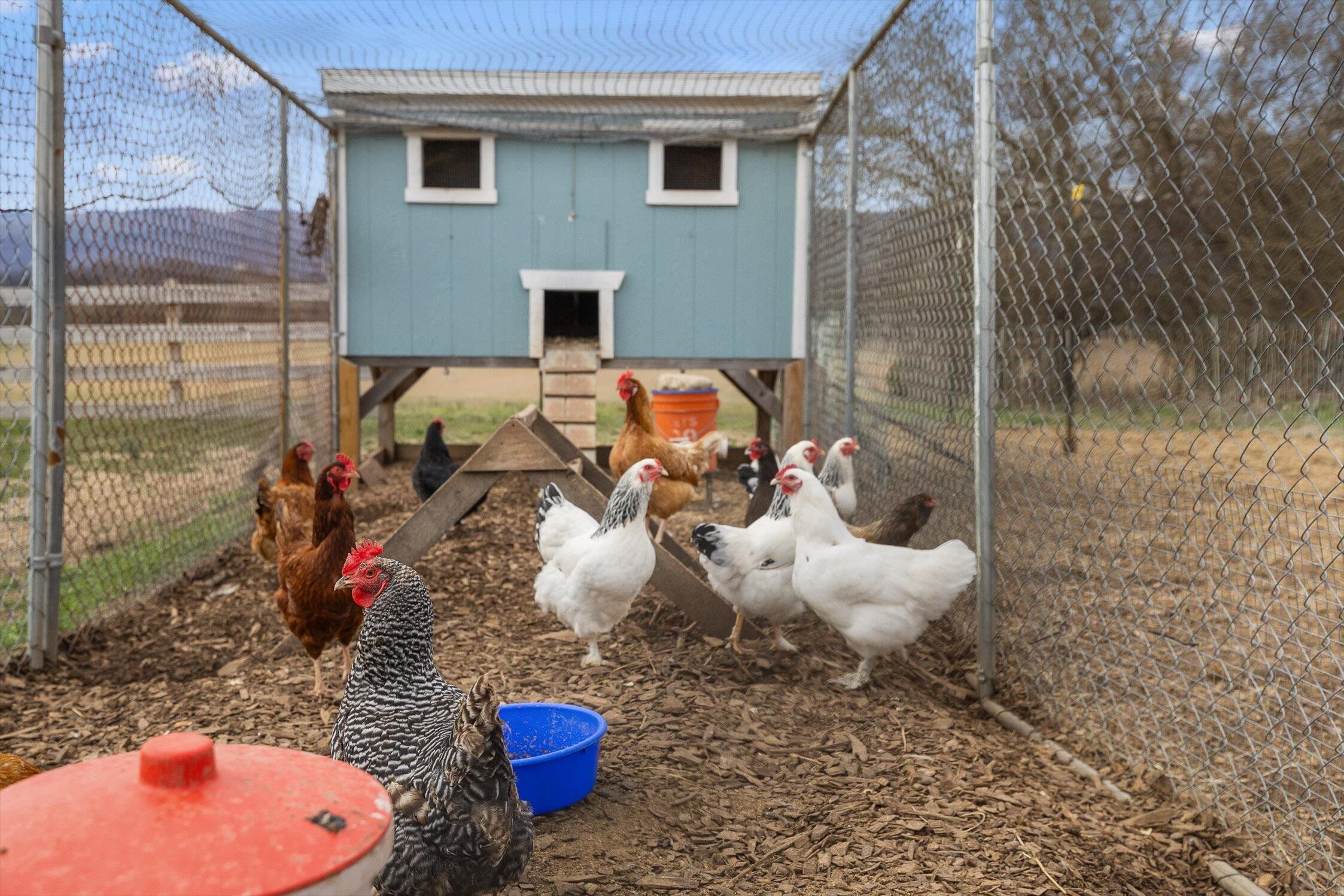 10115 Upper East Valley Road Pikeville, TN 37367 - Photo 97 of 115 58-Upper East Valley-58