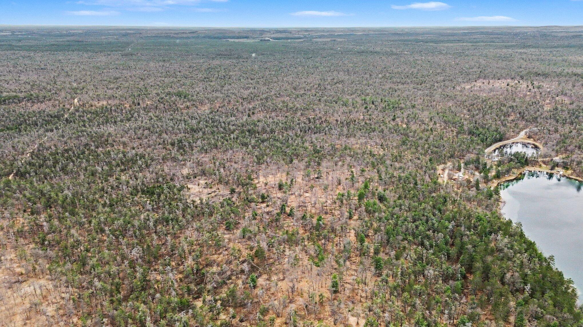 Gun Club Road Grayling, MI 49738 - Photo 7 of 17 006_dji_0348_30