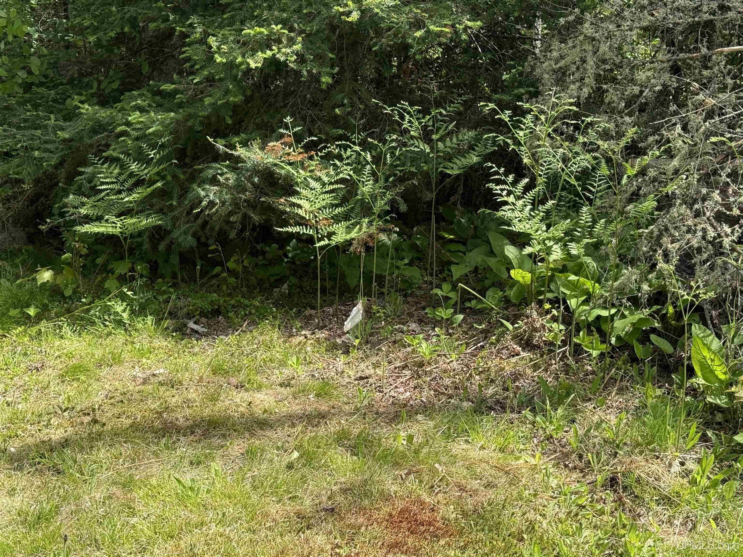 3468 Co Road Champion, MI 49814 - Photo 14 of 21