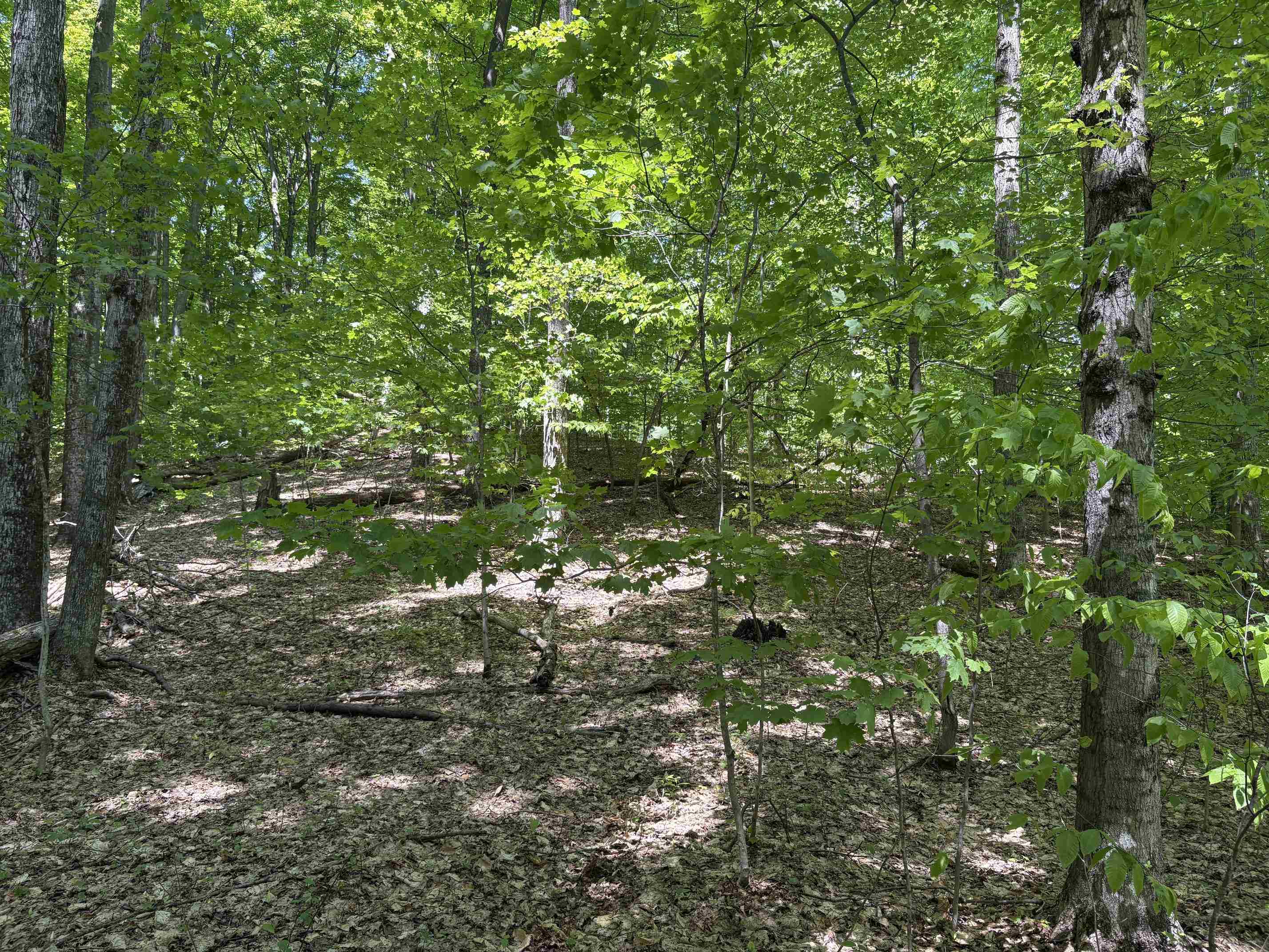13631 Beaver Pond Road Empire, MI 49630 - Photo 16 of 55