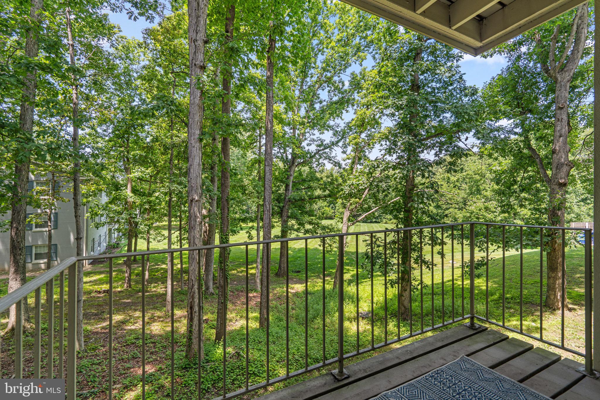 Serene balcony overlooking woods