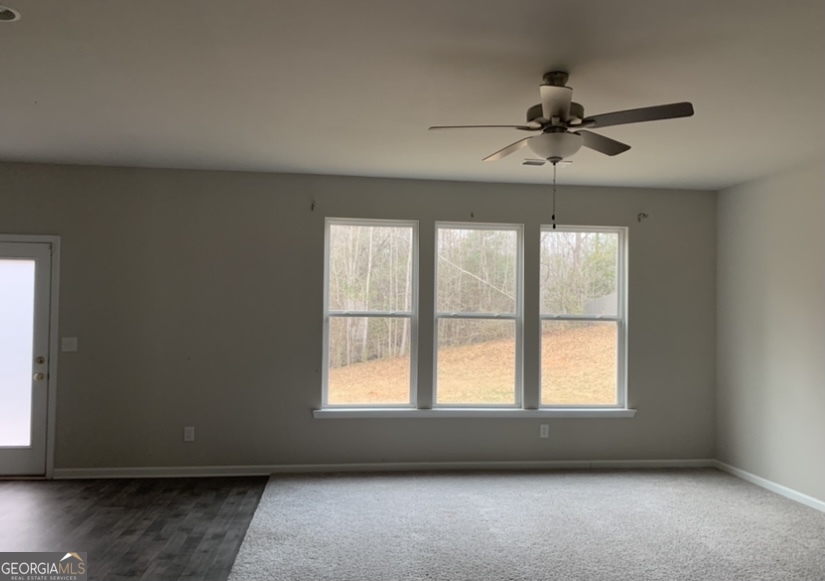 225 Vineyard Ridge Drive Griffin, GA 30223 - Photo 3 of 6