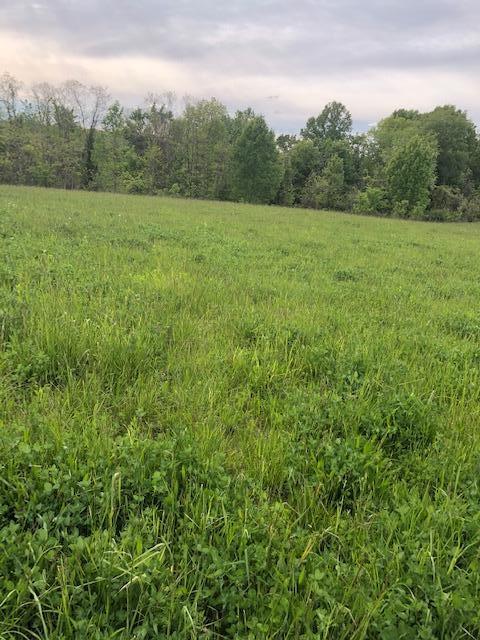 3 Hester Ridge Road Wallingford, KY 41093 - Photo 5 of 6 hr6