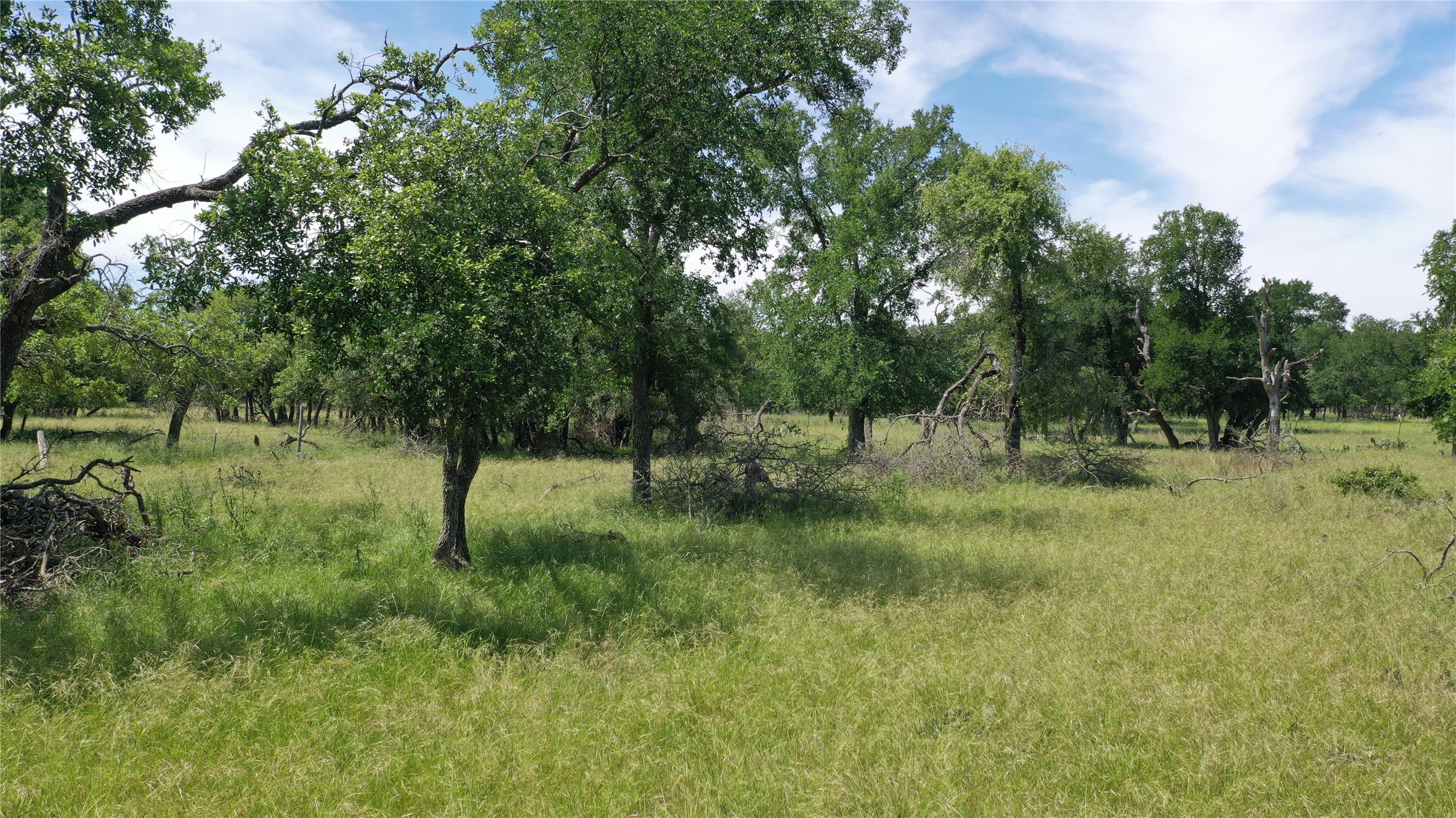 3215 County Road 305 Jarrell, TX 76537 - Photo 17 of 23