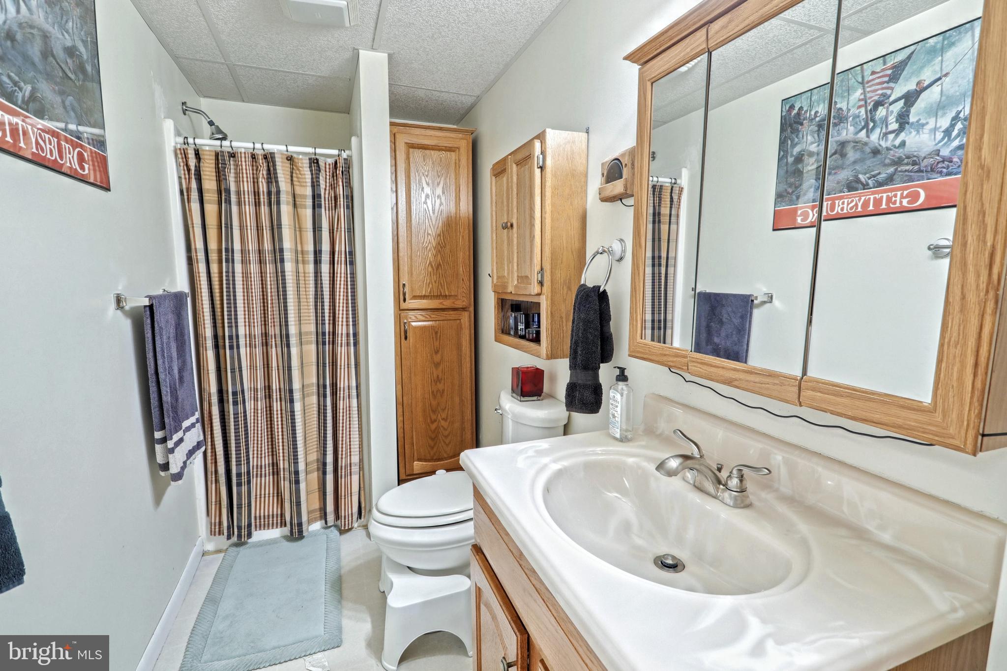 1775 Cemetery Road York, PA 17408 - Photo 19 of 59 a bathroom with a sink toilet and shower