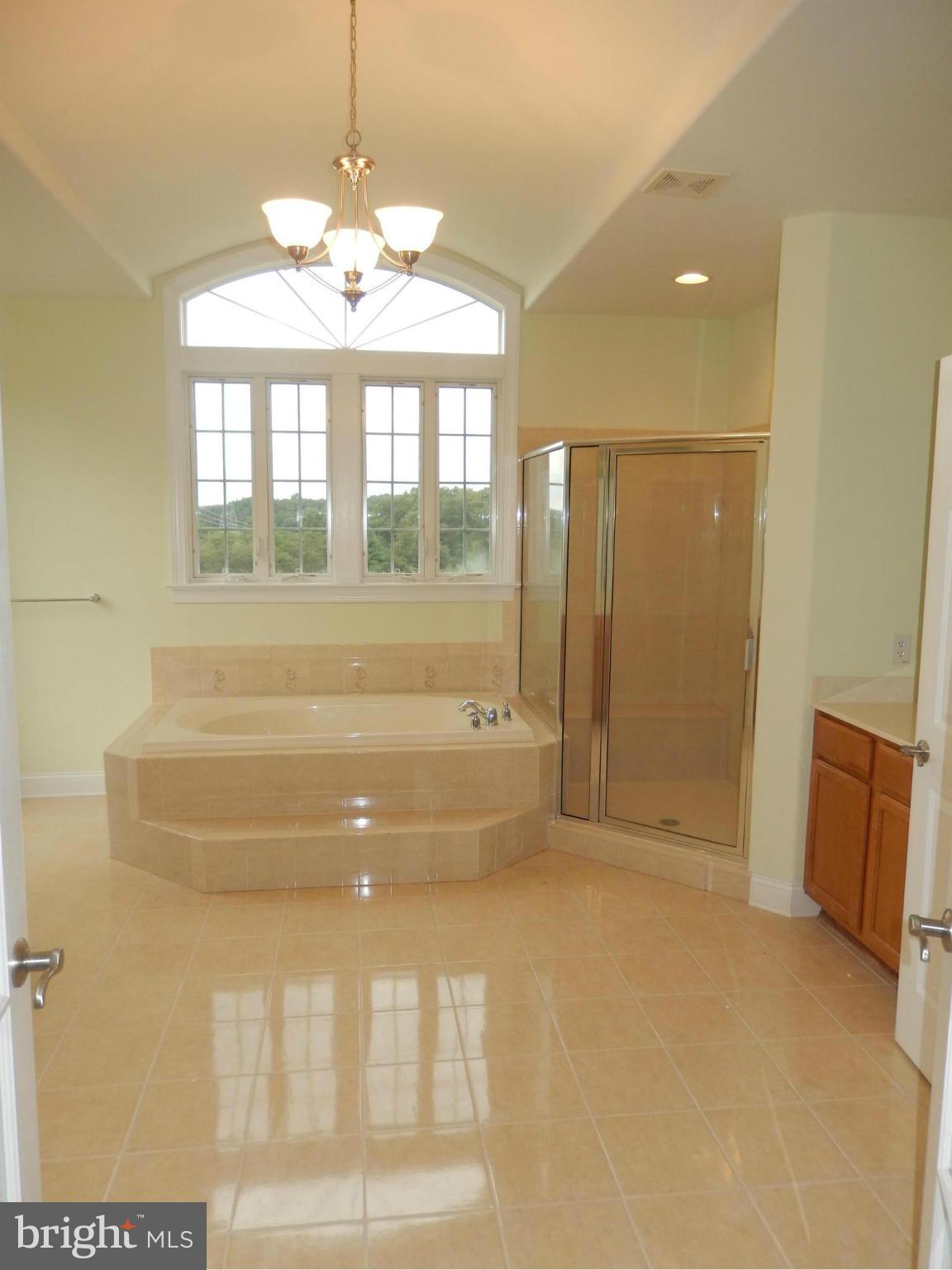 3102 Timber Ridge Circle White Hall, MD 21161 - Photo 8 of 30 Bath (Master)