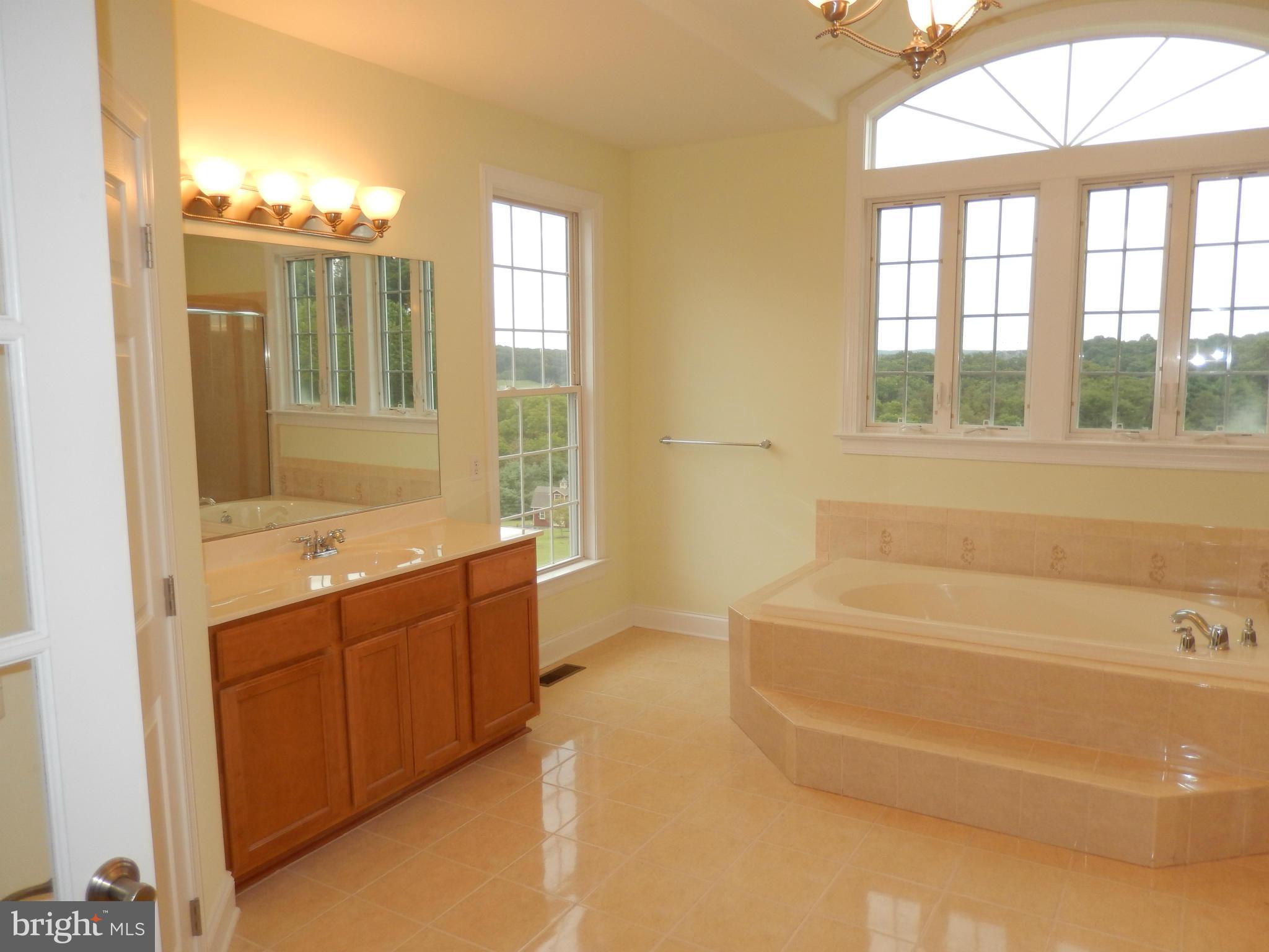 3102 Timber Ridge Circle White Hall, MD 21161 - Photo 9 of 30 Bath (Master)