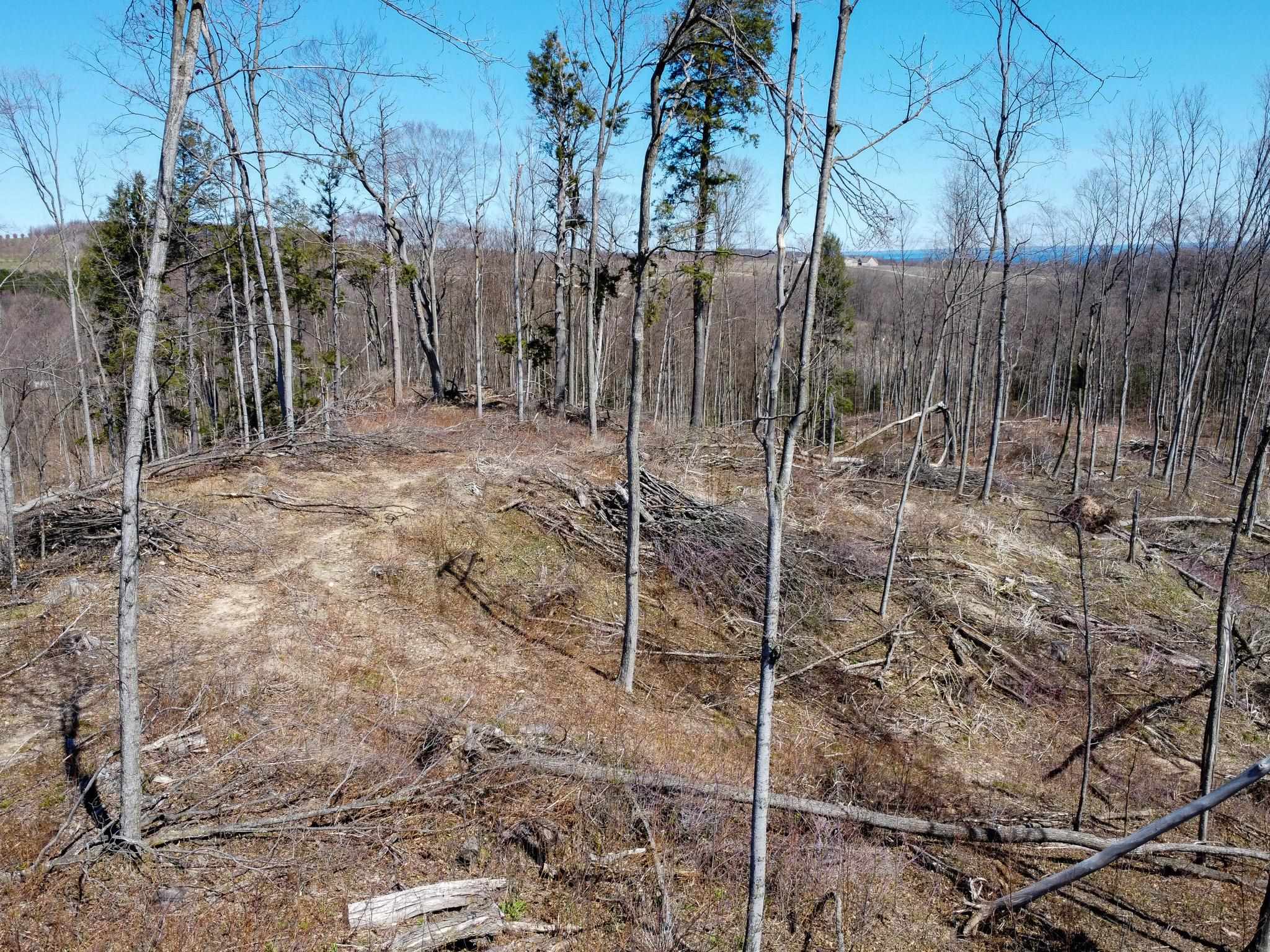 0 East Smiseth Road Suttons Bay, MI 49682 - Photo 43 of 67