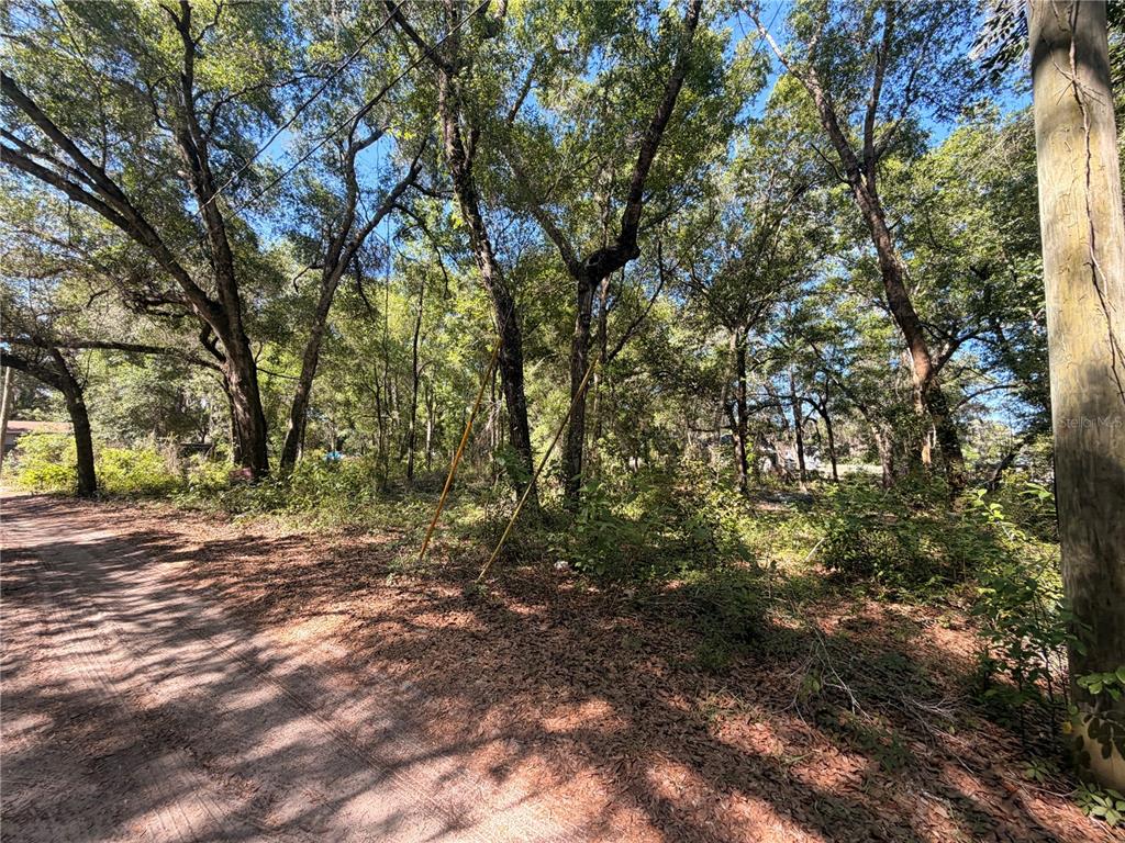 10185 Creekfield Road Brooksville, FL 34613 - Photo 2 of 4 a view of outdoor space with trees