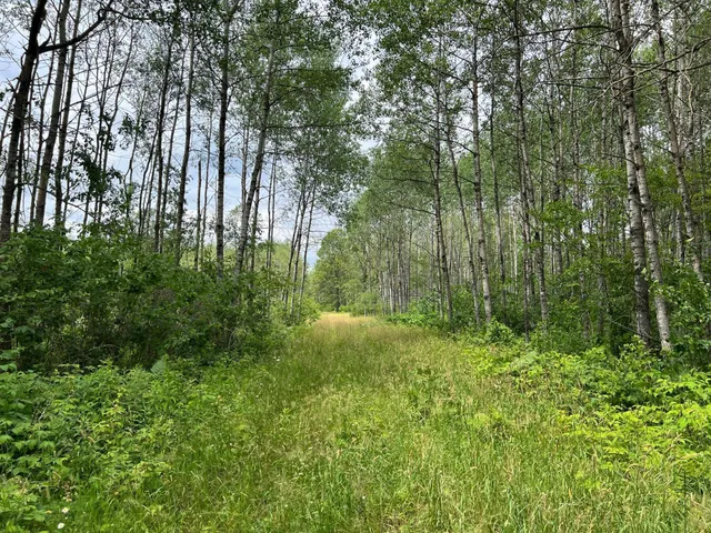 $474,900 | W37-xx Frog Creek Road, Minong, WI 54859