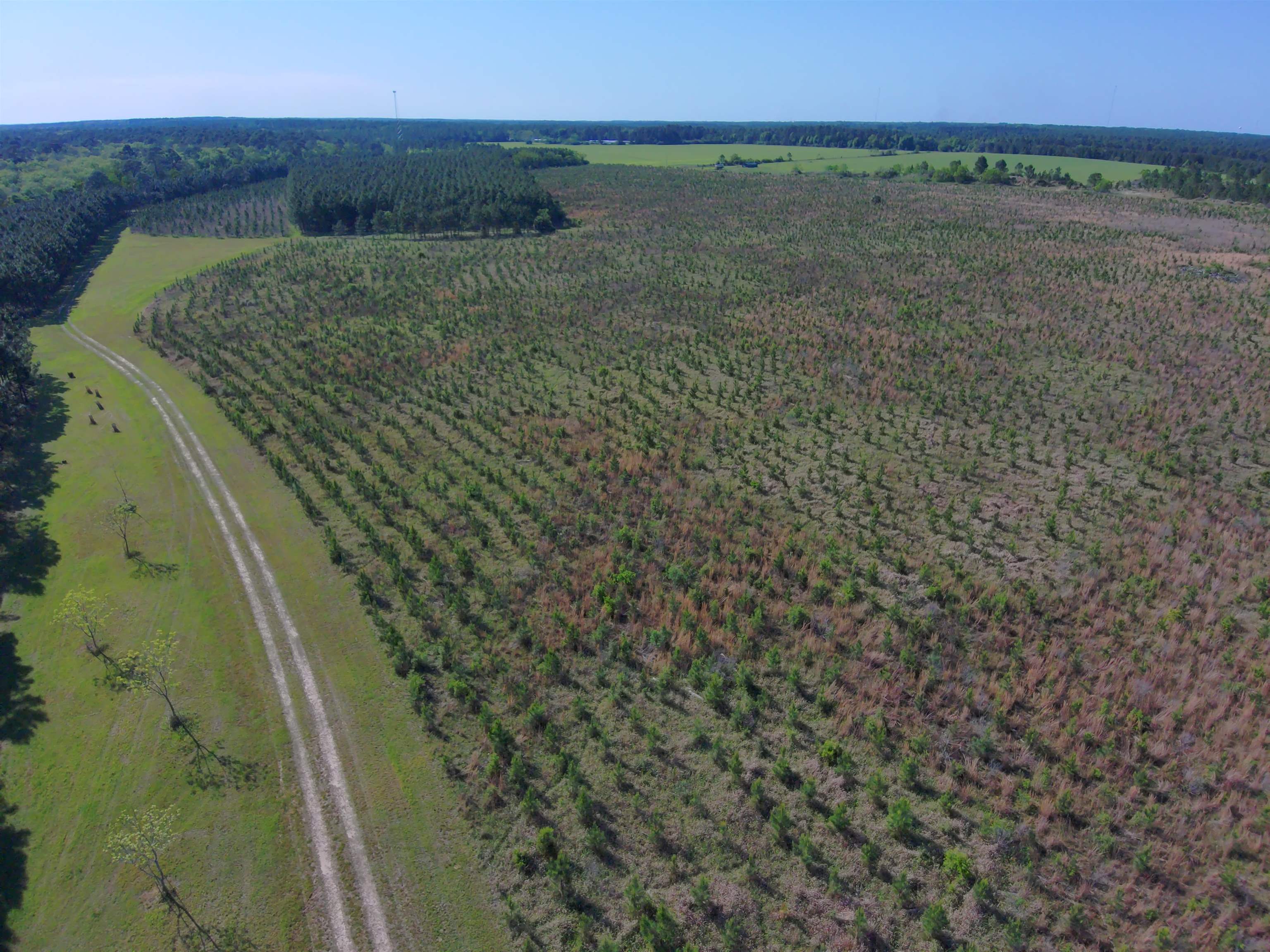 87 County Road 87 Elberta, AL 36530 - Photo 24 of 66 Aerial View