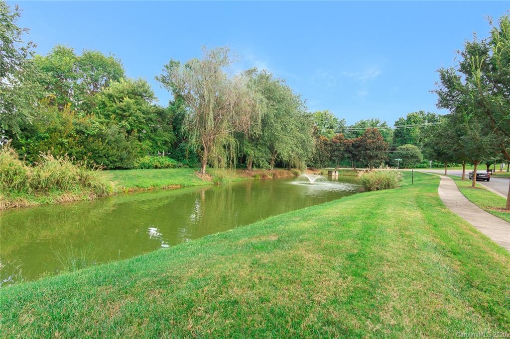 4736 Water Oak Road Charlotte, NC 28211 - Photo 43 of 45 a view of a lake with a yard and large trees