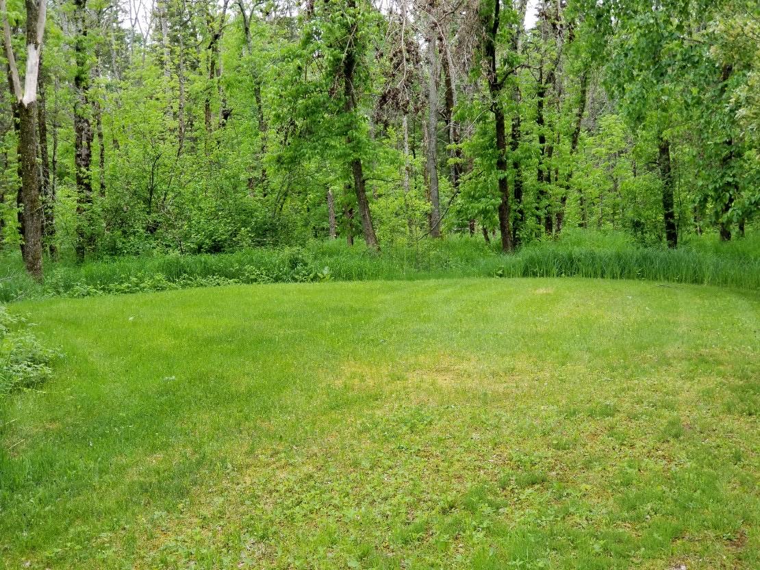 103 West 16 Mile Road Dafter, MI 49724 - Photo 8 of 26 Gallery Image 8