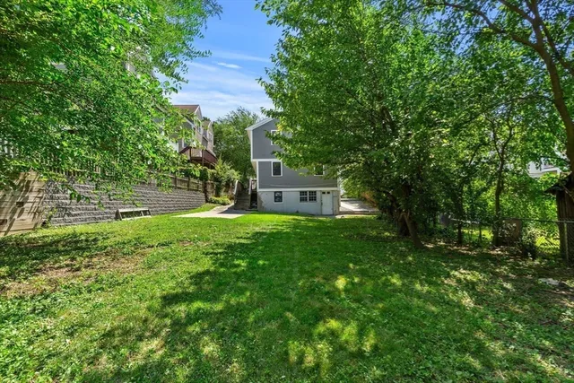 a view of a yard with a tree