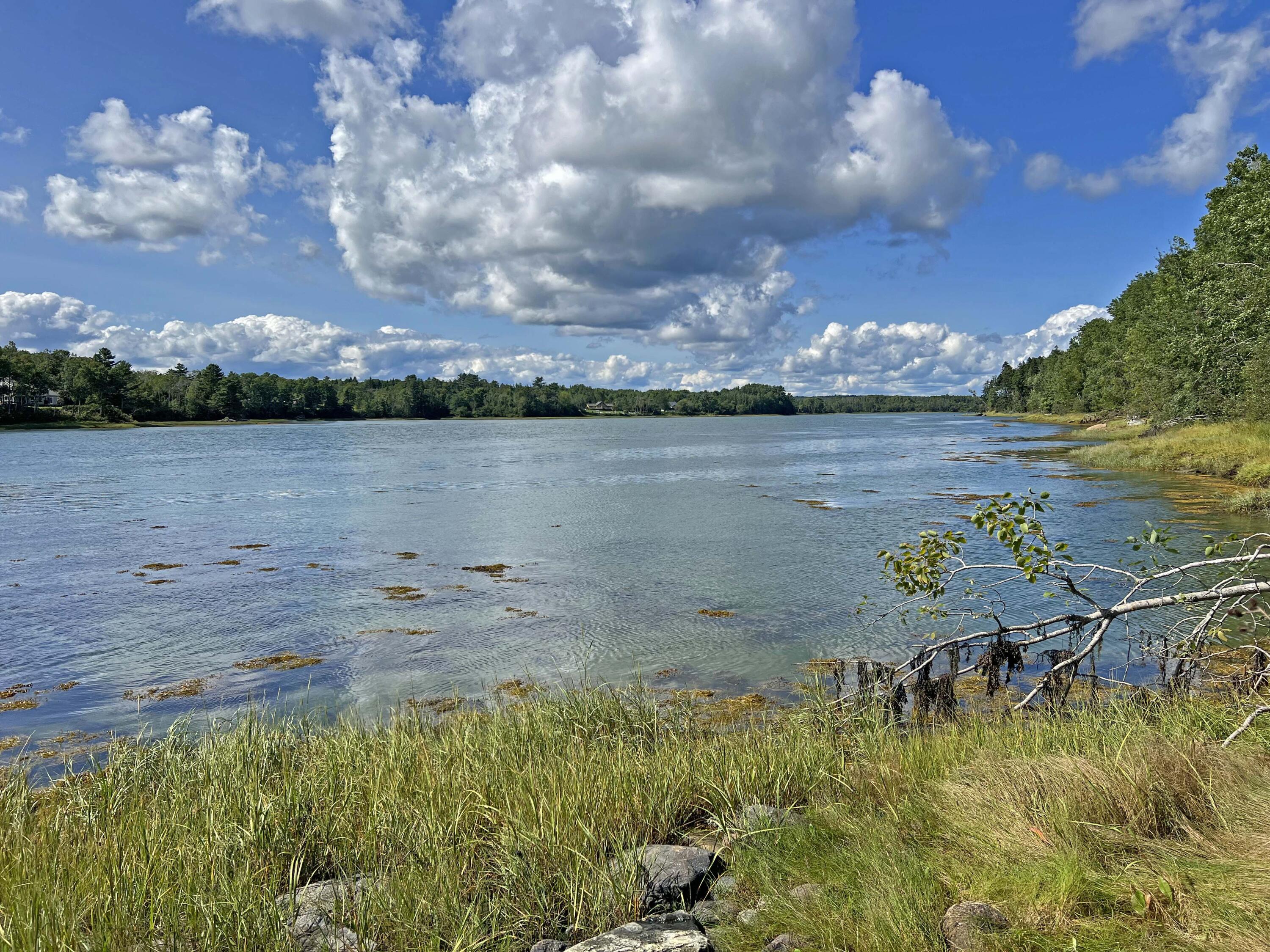 0 Shore Road Lamoine, ME 04605 - Photo 4 of 12 1