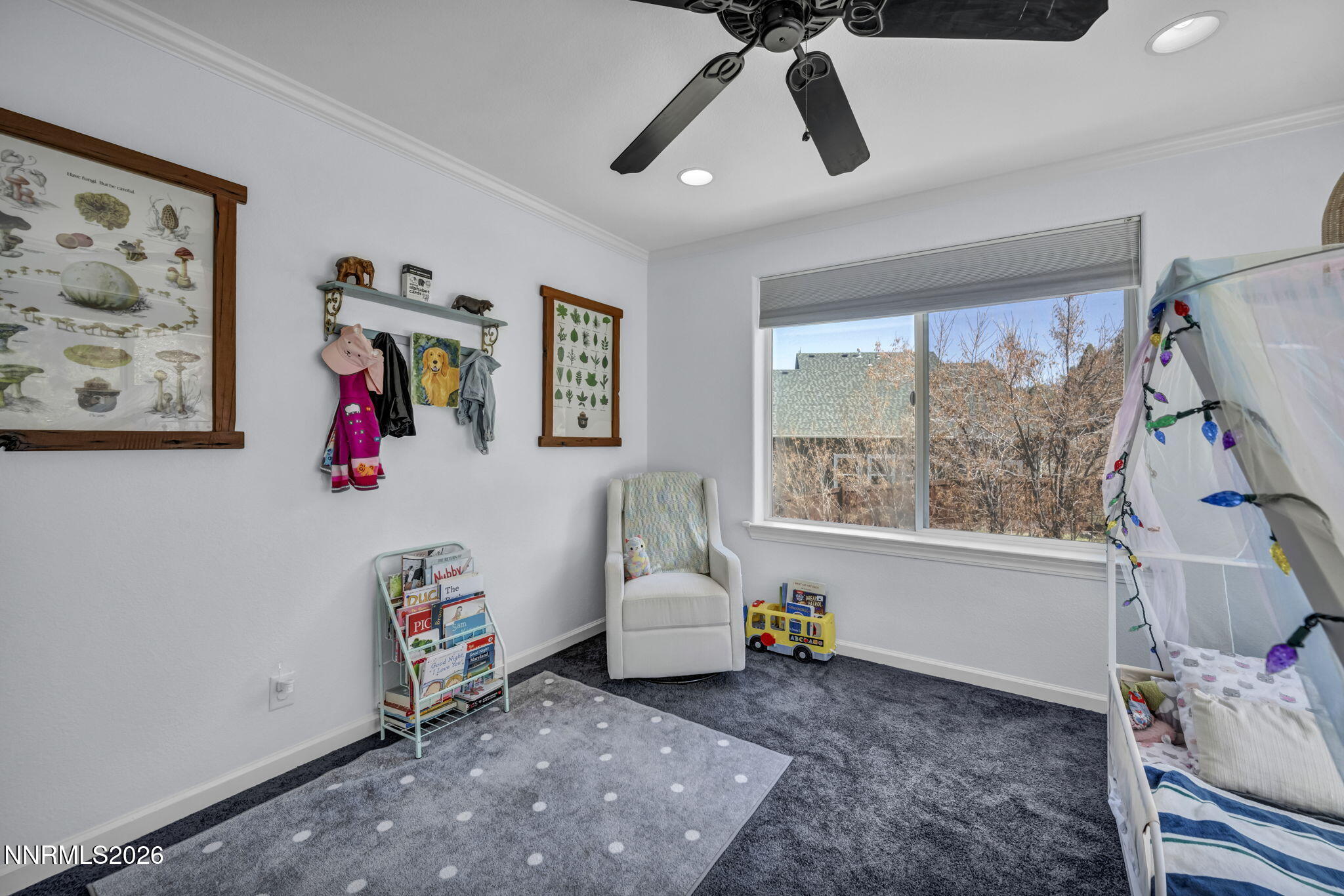 2569 Cartwright Road Reno, NV 89521 - Photo 71 of 94 72-web-or-mls-2569-cartwright-rd