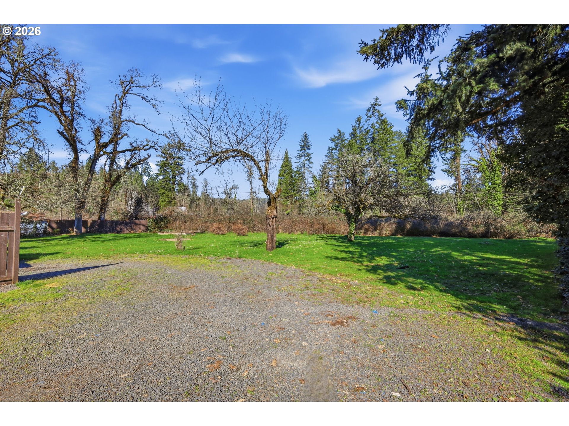 36725 Jasper Road Springfield, OR 97478 - Photo 41 of 46 a view of a yard with palm trees
