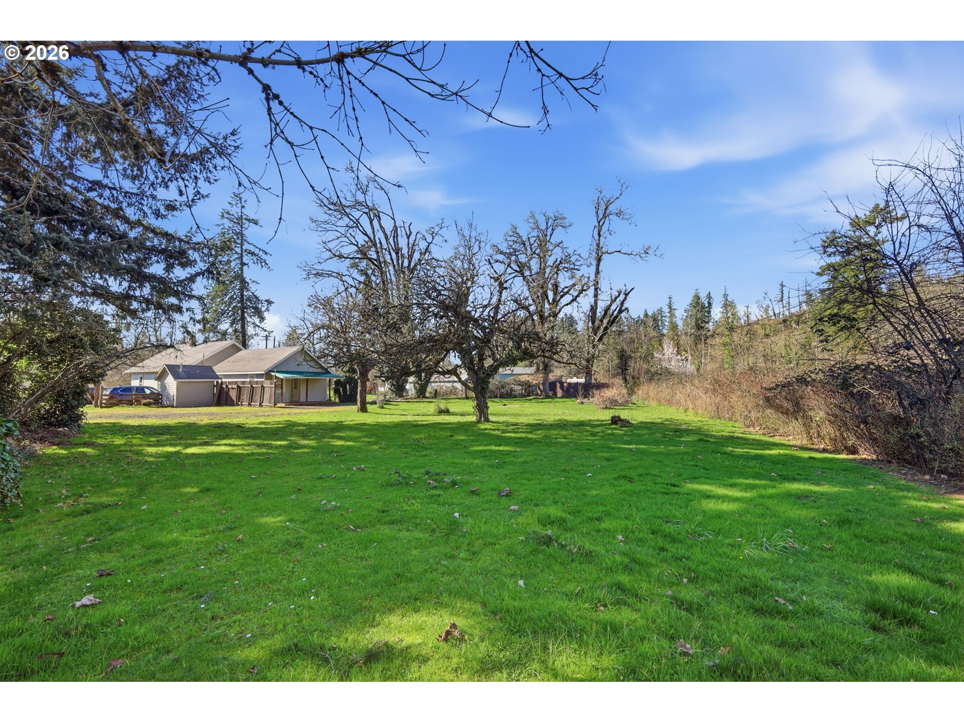 36725 Jasper Road Springfield, OR 97478 - Photo 43 of 46 a view of a park with large trees
