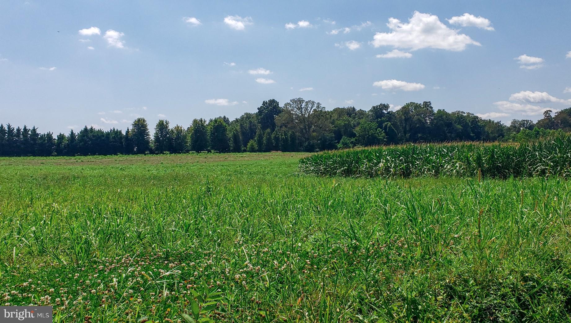 14628 Old Hanover Road, Unit BENTON Reisterstown, MD 21136 - Photo 67 of 69 a view of a big yard with green space