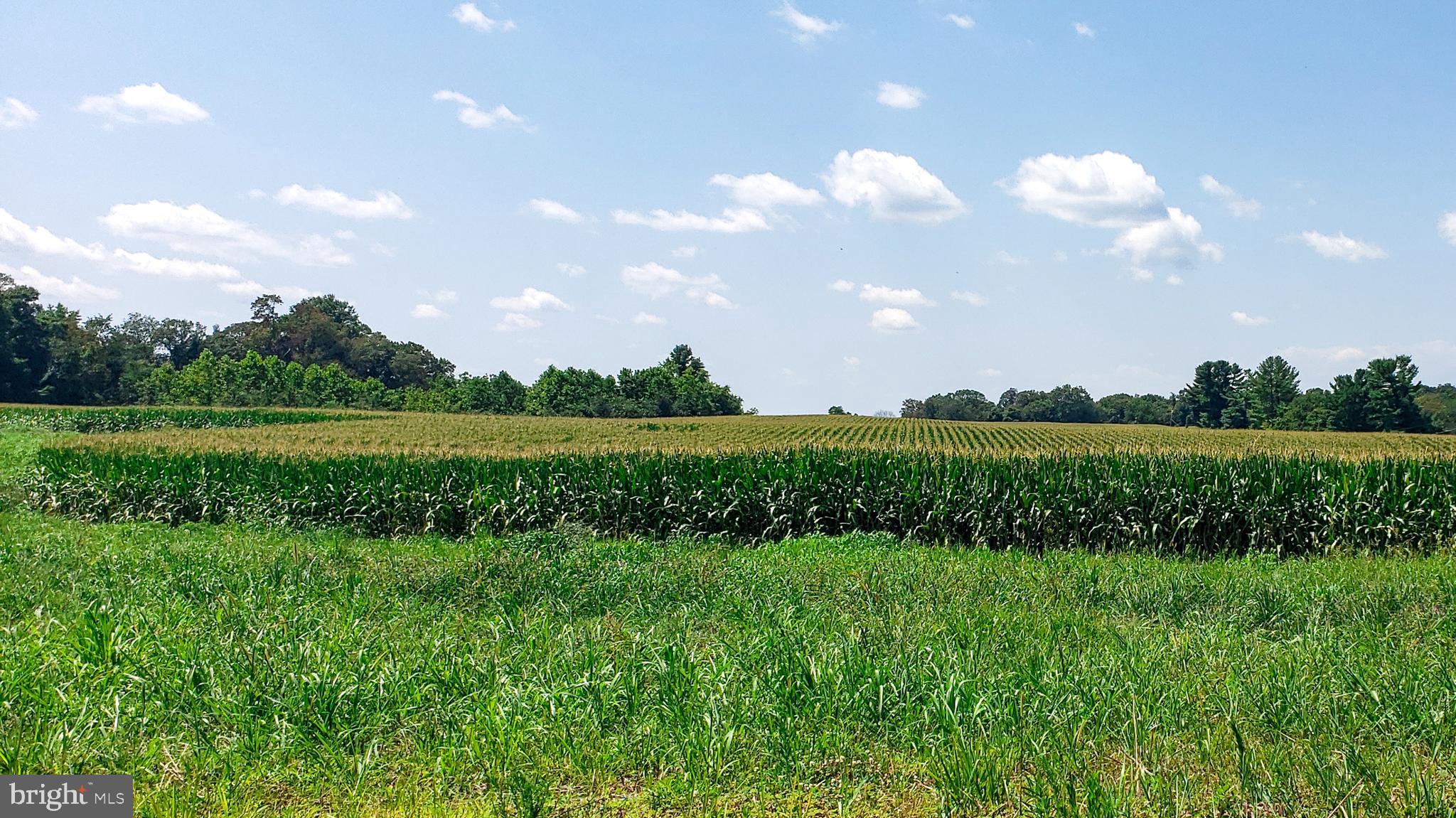 14628 Old Hanover Road, Unit BENTON Reisterstown, MD 21136 - Photo 69 of 69 a view of a golf course with a lake