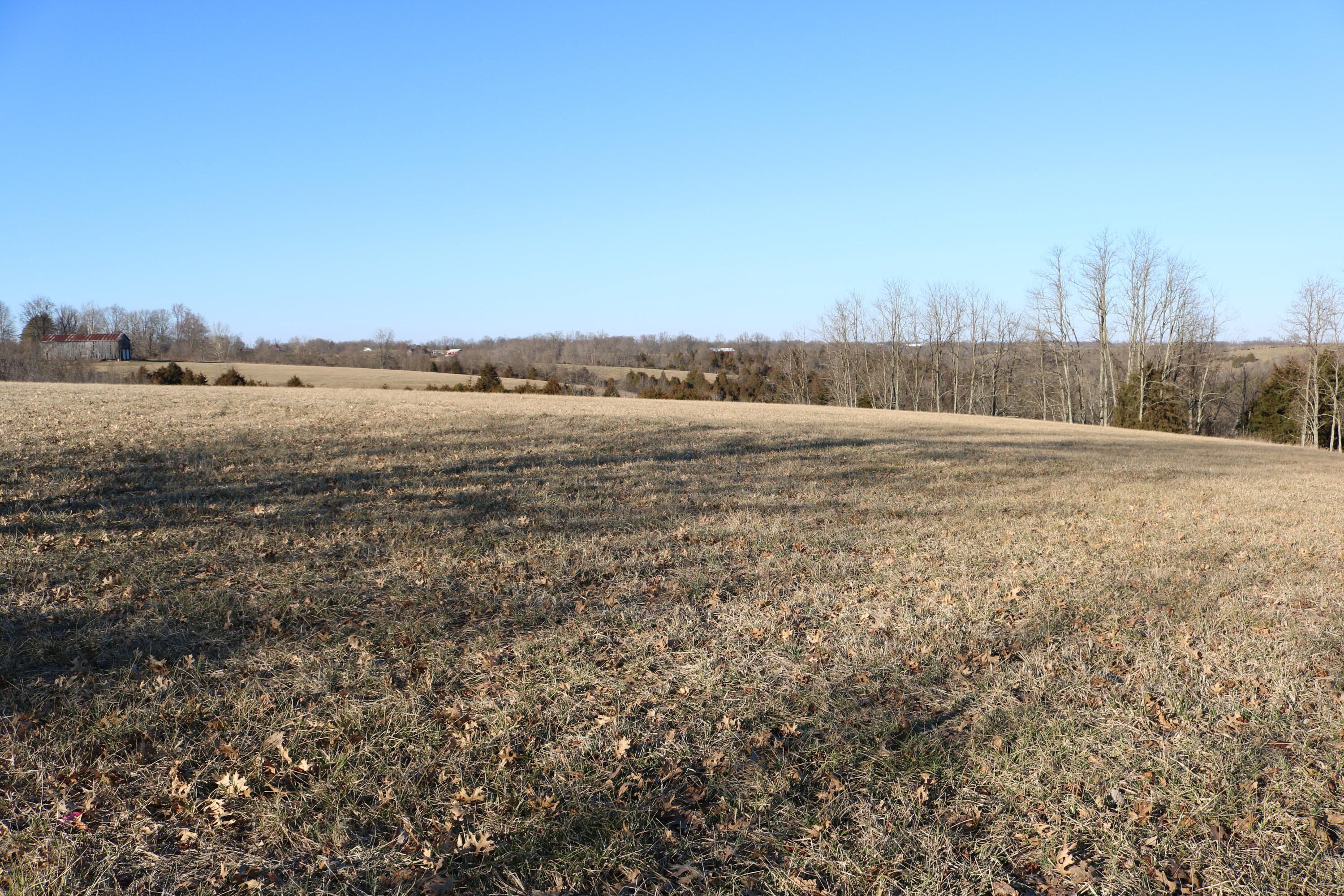 5.21-acres Vallandingham Road Dry Ridge, KY 41035 - Photo 1 of 10