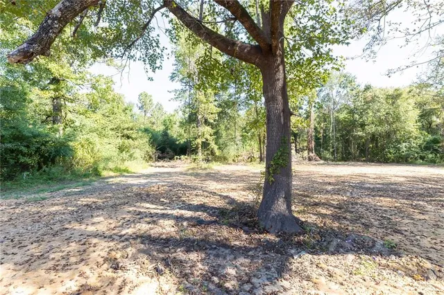$230,000 | 265 Washboard Road, Ball, LA 71405