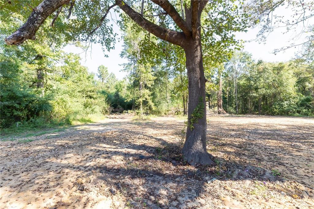 265 Washboard Road Ball, LA 71405 - Photo 13 of 59