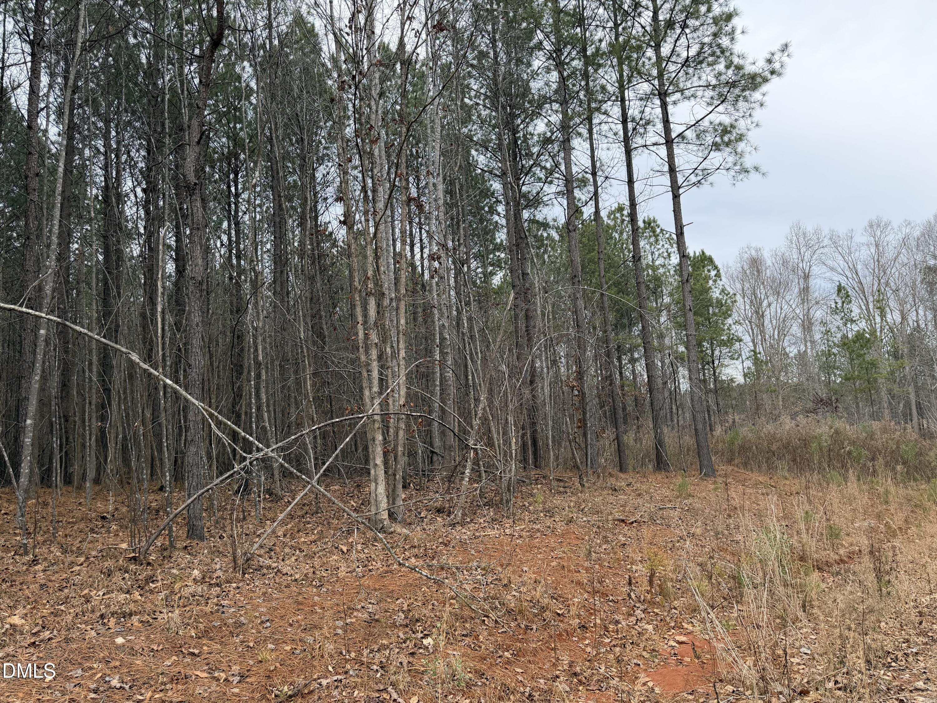 1652 Garrett Farm Road Stem, NC 27581 - Photo 5 of 6 IMG_2082