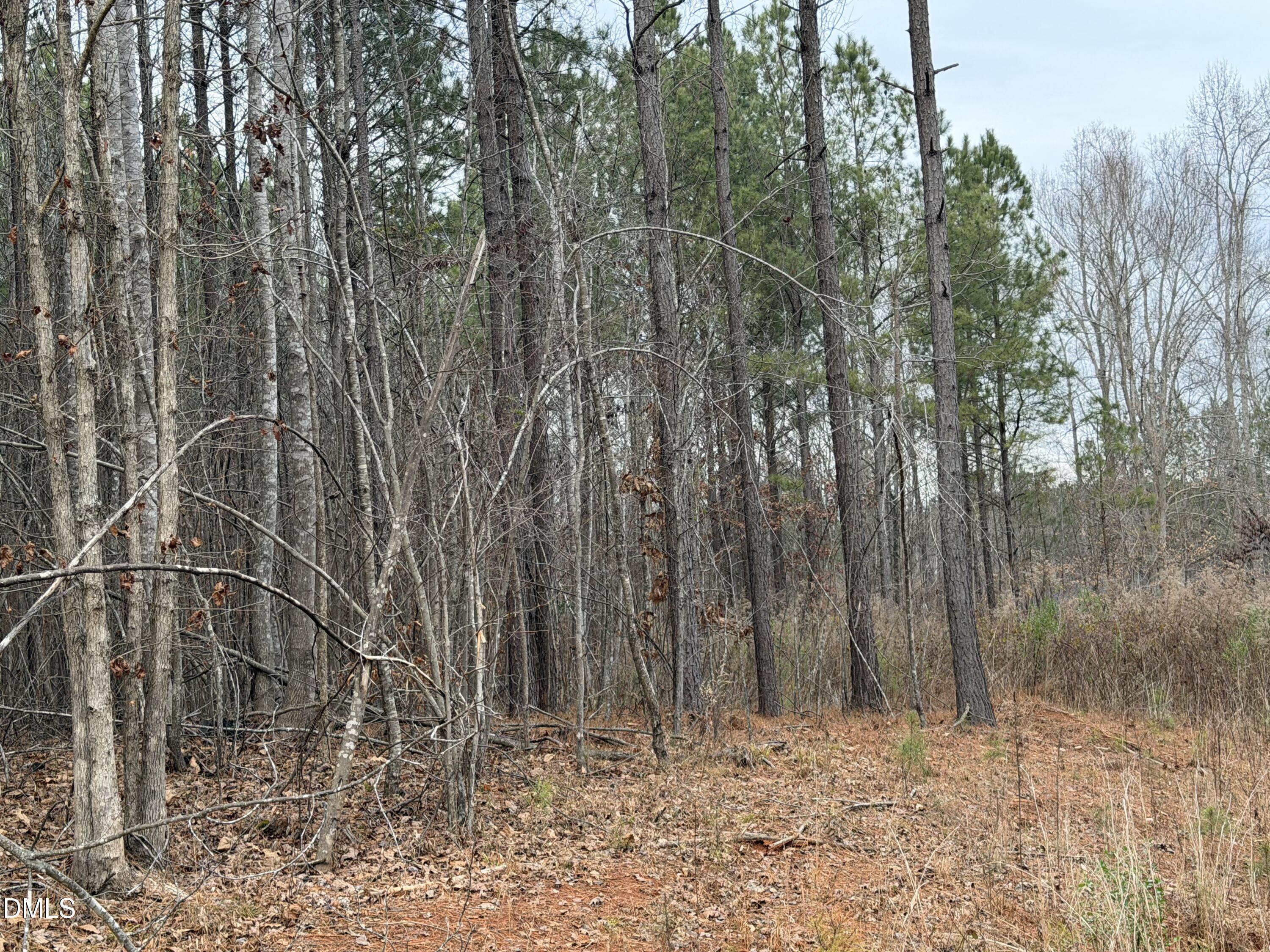 1652 Garrett Farm Road Stem, NC 27581 - Photo 6 of 6 IMG_2083