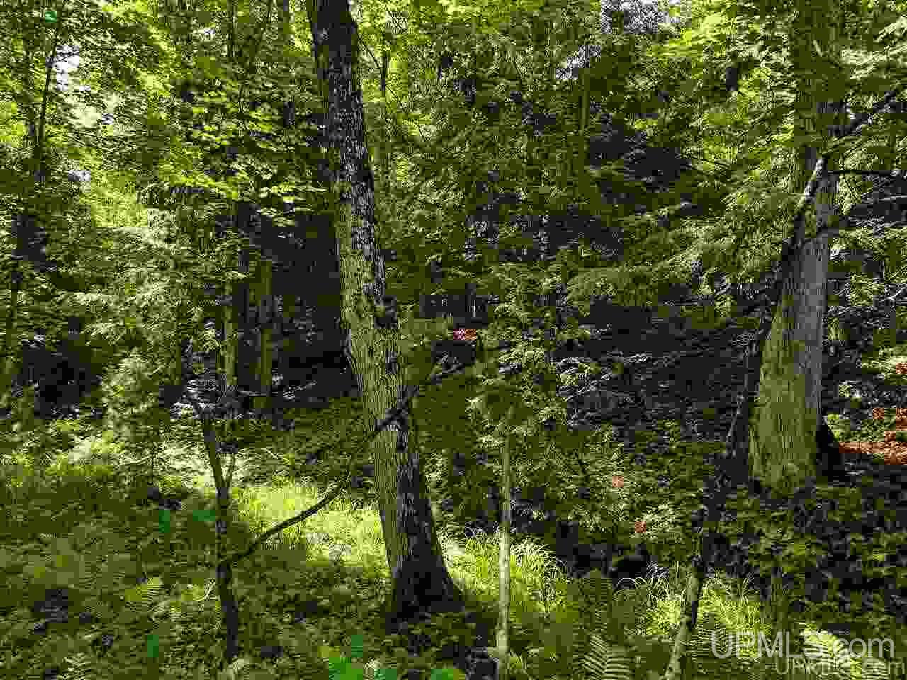 Tbd Tbd Indian Cemetery Road Lanse, MI 49946 - Photo 9 of 40