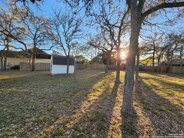 a view of a yard with tree s
