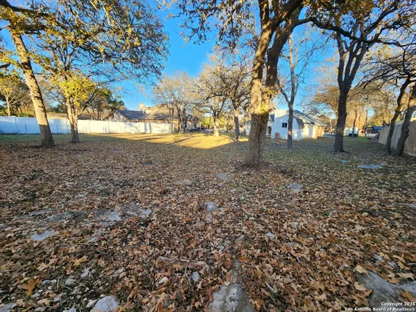 a view of yard with trees