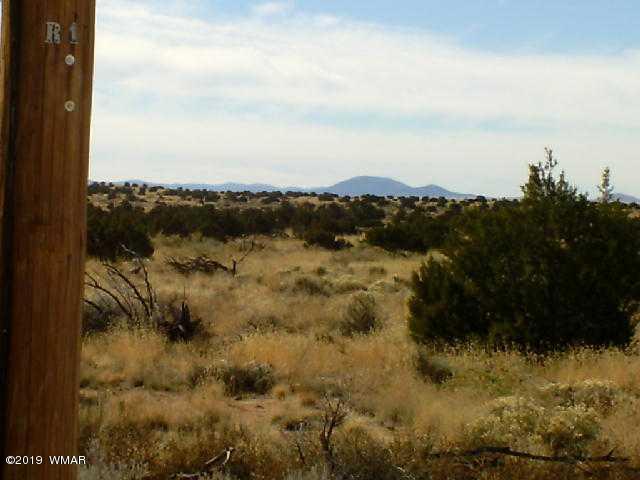 Lot 28 Mountain View Springerville, AZ 85938 - Photo 2 of 5